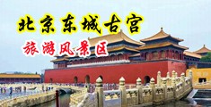 国产赤裸村妇抠逼中国北京-东城古宫旅游风景区