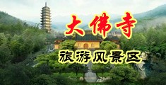 免费黄片视频操黑丝空姐中国浙江-新昌大佛寺旅游风景区